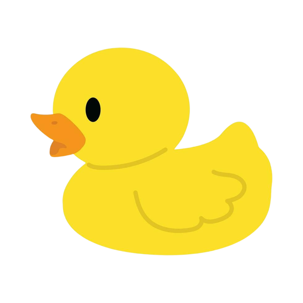 pixel duck